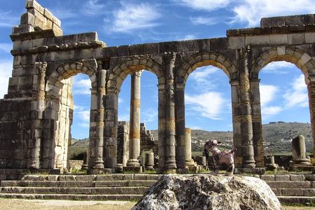 fes to volubilis and meknes day trip