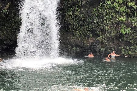 Maui Tour : Road to Hana Day Trip from Kahului Lunch, Water, Chip