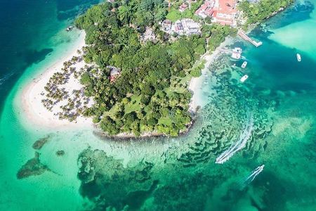 Samana Whale Watching + Cayo Levantado ( Bacardi Island) with Lunch by Locals