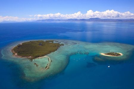 Half Day Low Isles Snorkelling Tour from Port Douglas