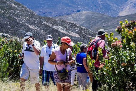 Swartberg Pass Tour including Traditional Karoo Lunch