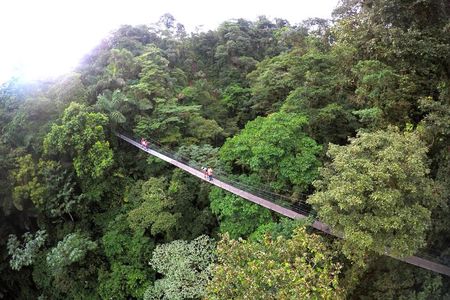  Suspension Bridges, Fortuna waterfall, Typical lunch