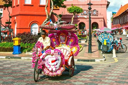 Malacca Historical Tour with Lunch at Baba Nyonya Restaurant