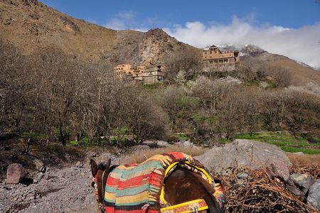 Private day trip to the High Atlas from Marrakech,