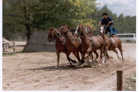 Budapest Puszta Day Trip to Kecskemet with Horse Show & Lunch