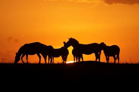 5 days Kenya Safari Expedition