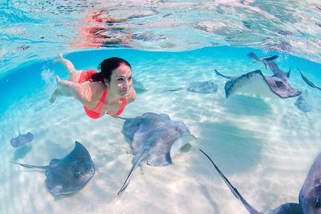Sharks & Stingrays Encounter and Small Boat Ride from Punta Cana