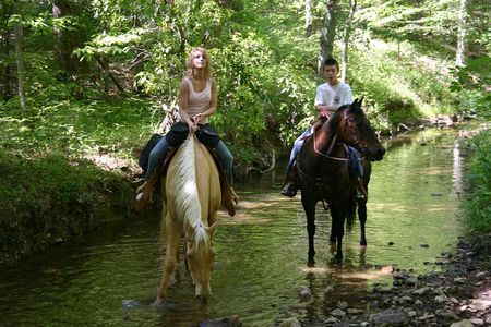 Horse Riding Experience in Marmaris with Transfer