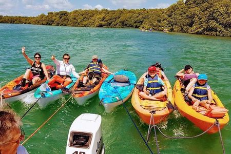 Paddle and Snorkel Tour