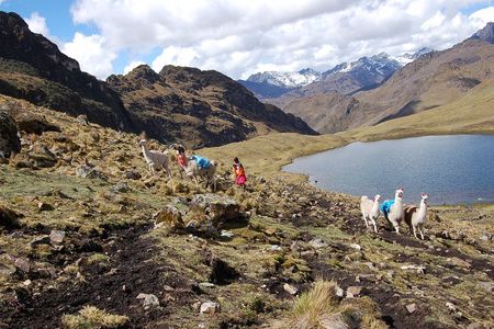 4 Day - Lares Trek to Machu Picchu - Group Service 