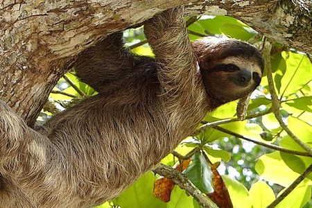 Exotic Landscapes of Costa Rica