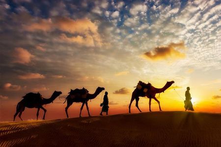 12-day Private Tour: Maharaja Rajasthan