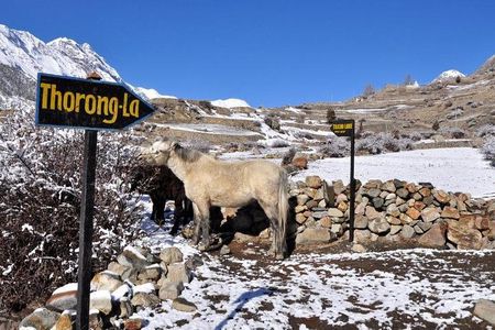 10-Day Annapurna Circuit Trek in Nepal