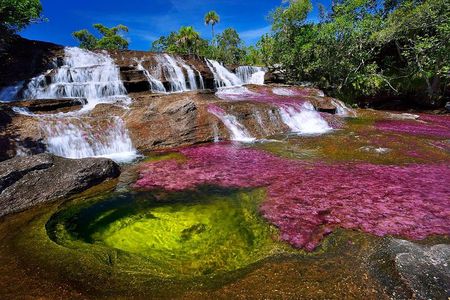 3-Day Caño Cristales (Rainbow River) from Bogotá