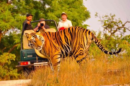5 Days Golden Triangle Tour with Ranthambore Delhi Agra Jaipur 