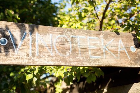 Wine Tasting & Winery Tours