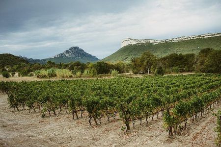 Hike to the top of "Pic Saint Loup", wine & food 