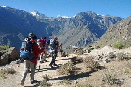 2-Day Custom Colca Canyon Trek from Arequipa