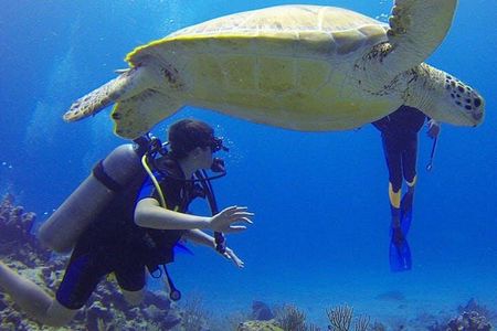 Experience Scuba Diving / NO certification Needed