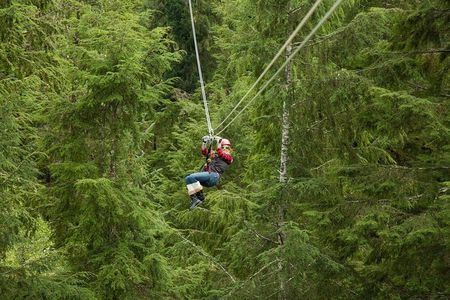 Rainforest Canopy & Zipline Adventure in Ketchikan, AK