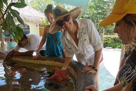 Full-Day Tour of Florida Keys Including Aquarium Encounters from Key West