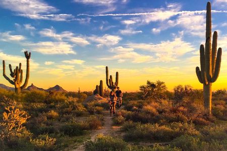Desert Guided E-Bike Tour
