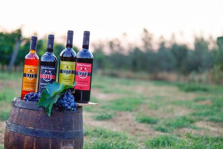 Wine & Oil Tasting Experience