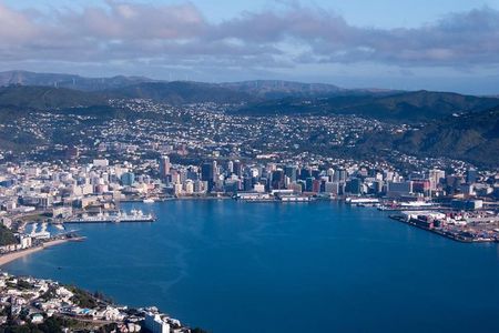 Wellington Shore Excursion City Sightseeing Tour