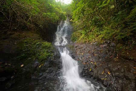Oahu Hidden Waterfall Hike: A Tropical Paradise Adventure