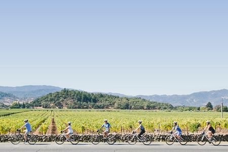 Full-Day Napa Winery E-Bike Tour (with Picnic Lunch)