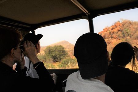 2 Day Pilanesberg Camping Safari