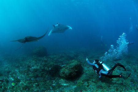 Bali Hai - PADI Advance Open Water Course in Lembongan