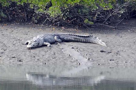 Exploring the beauty of Sunderban