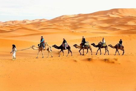 Camel Trekking Dubai with Dune Bashing and Sand Boarding