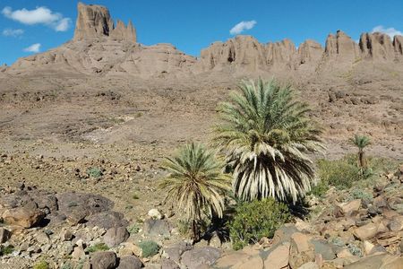 Trek Jebel Saghro Morocco 8 Days