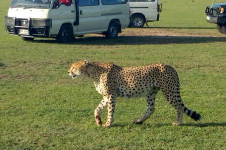 3Days 2nights Masai Mara group joining safari