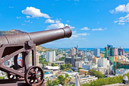 Mauritius Half Day City Tour(All Region)
