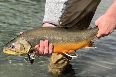 Private Lake and River Fishing Tour from Reykjavik