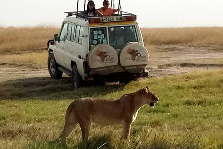 4 Days Affordable Tanzania Budget Safari
