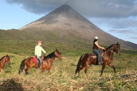 Private and Customized Horseback Riding Adventures