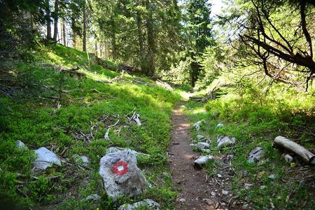 Hiking Cvrsnica mountain