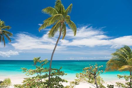 Grenada Private Day Tour: Spices, Waterfalls & West Coast Gems