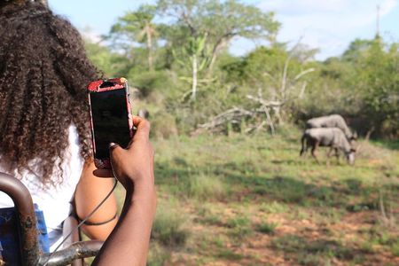 Kissama National Park Safari 