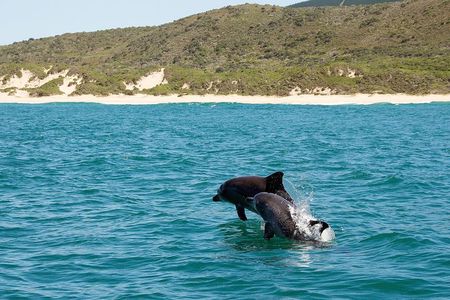 Knysna Marine Life & Garden Route Coastline Experience
