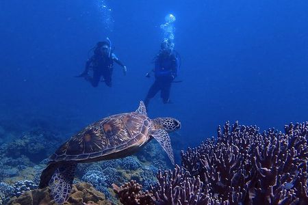 Guam's Best Beach Diving! Beginner and Advanced Dives