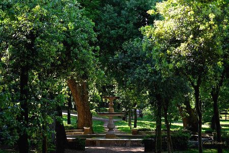 Villa Borghese and Posh Areas Unique Photo Tour and Workshop