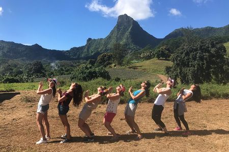 Moorea 4WD Tour Inc. Belvedere, Pineapple Farm, Magic Mountain...