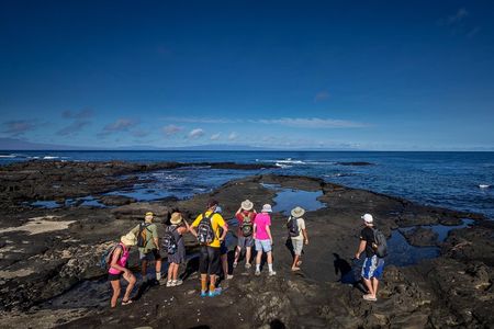 Seymour North Island & Las Bachas Full-Day Tour