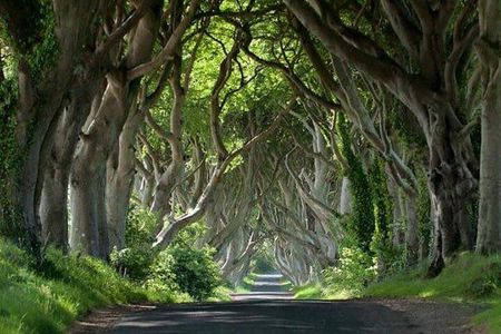 Private Game of Thrones including Giant's Causeway Causeway Coast Rope Bridge
