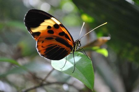 3 or 4-Day All Inclusive Napo Amazon Adventure with Accommodation in Eco Lodge
